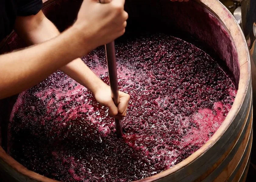 Şarap Nasıl Üretilir?